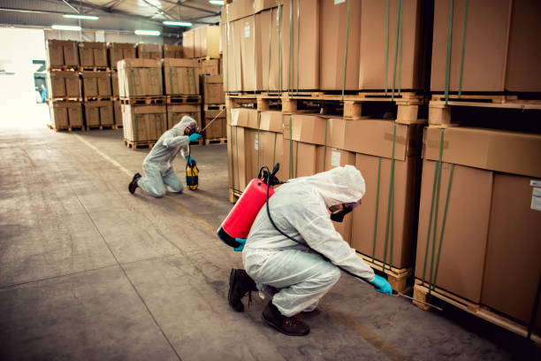 Best Wasp Removal Services  in Sachse, TX
