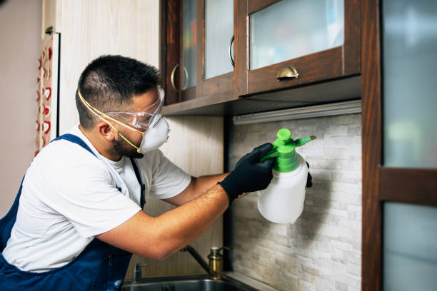 Wildlife Control Services in Sachse, TX