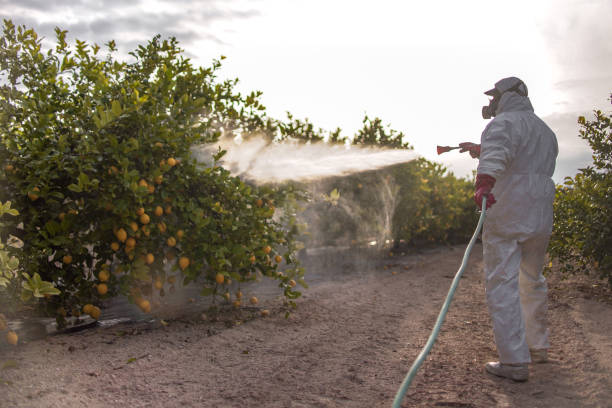Best Pest Control for Businesses  in Sachse, TX
