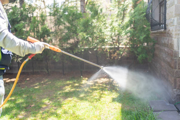 Best Wildlife Control Services  in Sachse, TX