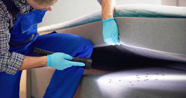 Best Cockroach Control Services  in Sachse, TX